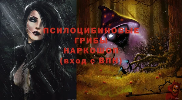 стаф Мегион