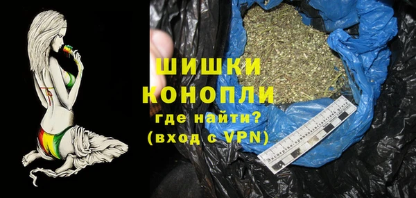 стаф Мегион