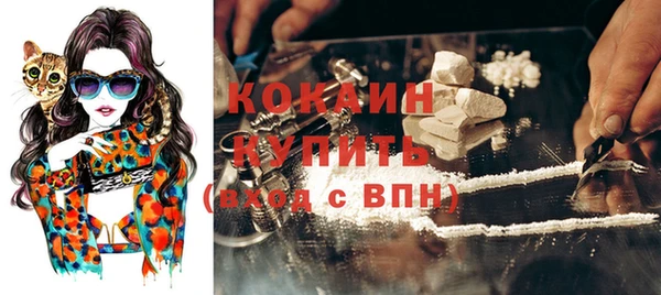 стаф Мегион