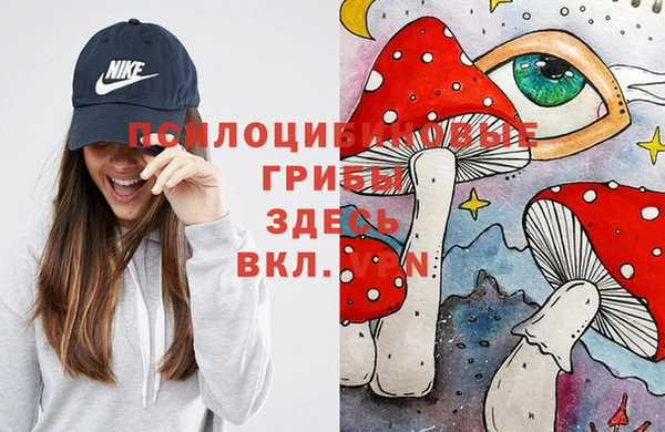 стаф Мегион